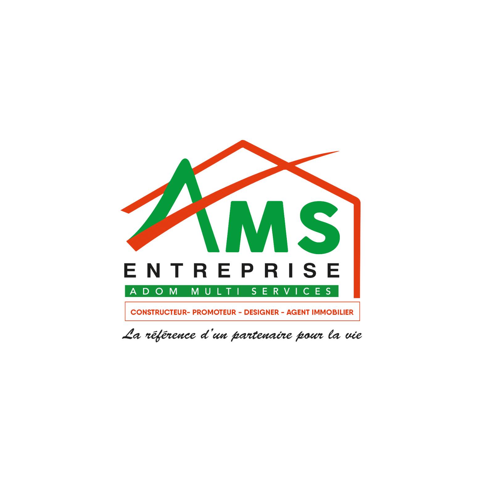 AMS Entreprise Logo